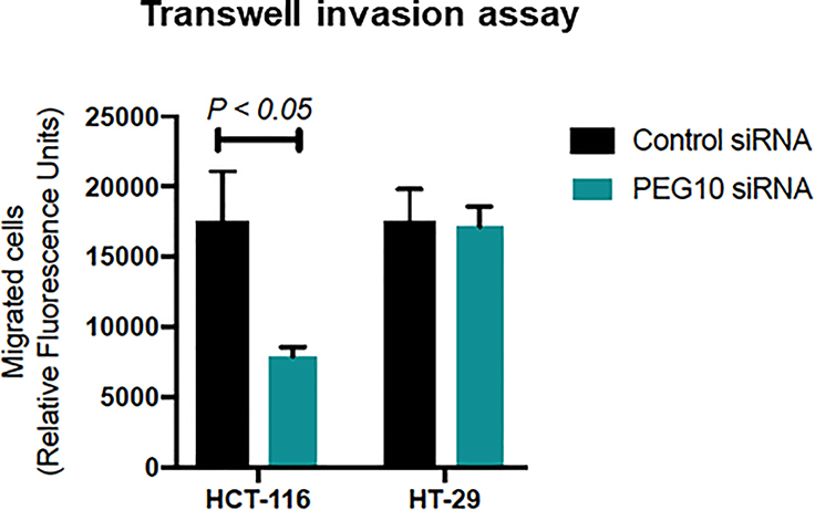 Figure 5: