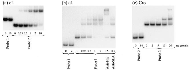 FIG. 8.