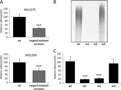 FIG. 4.