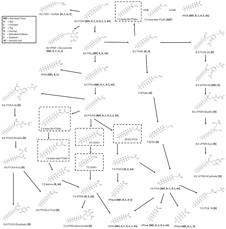 Figure 13