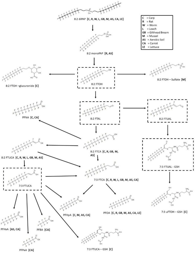 Figure 12