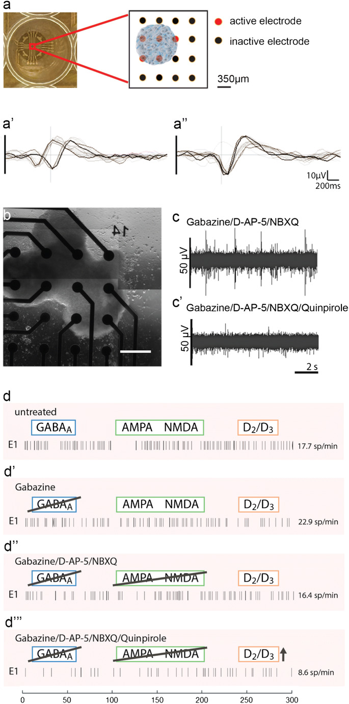 Fig. 7