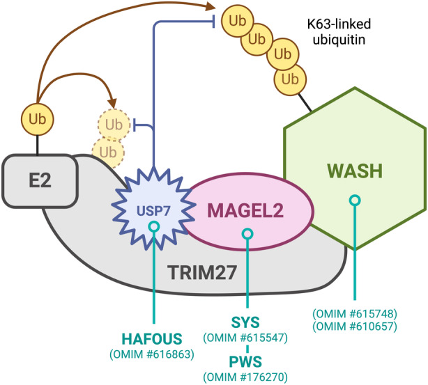 FIGURE 2