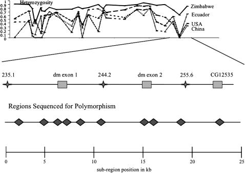 Figure 2.—