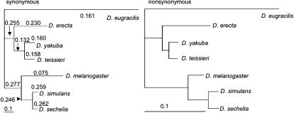 Figure 5.—