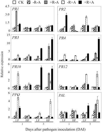 Figure 5