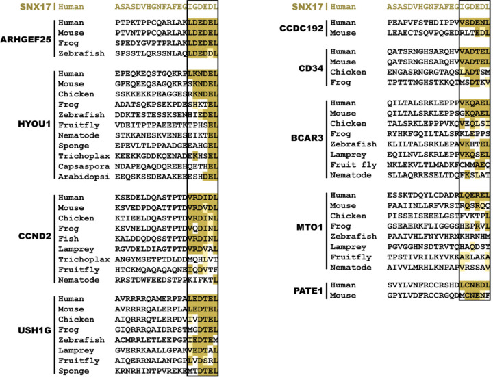 Extended Data Fig. 5