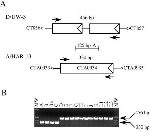 FIG. 6.