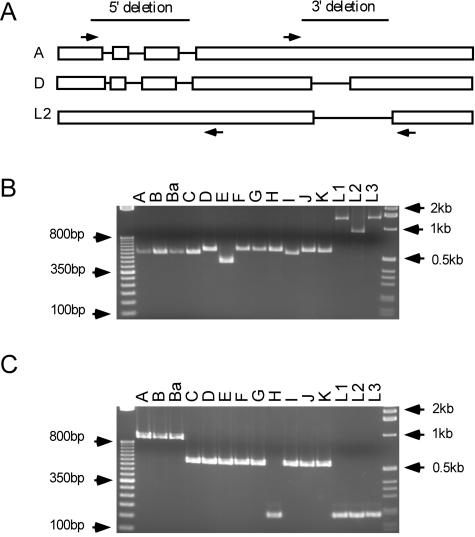 FIG. 3.