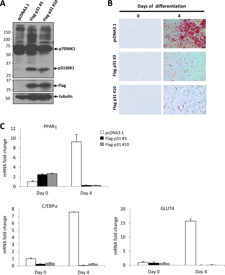 FIG 8