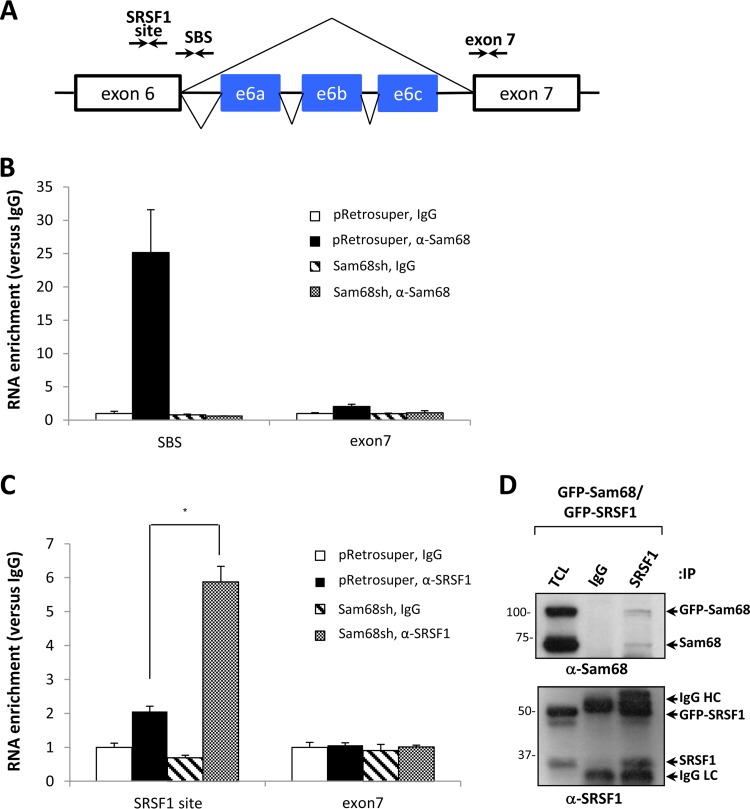 FIG 4