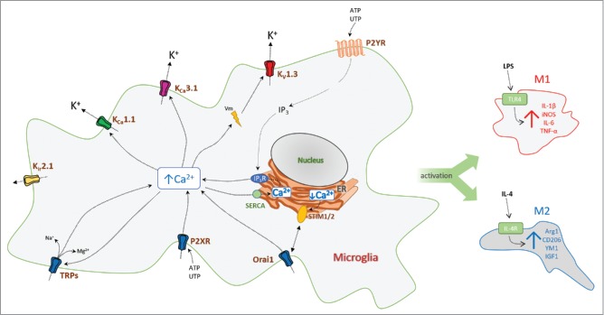 Figure 2.