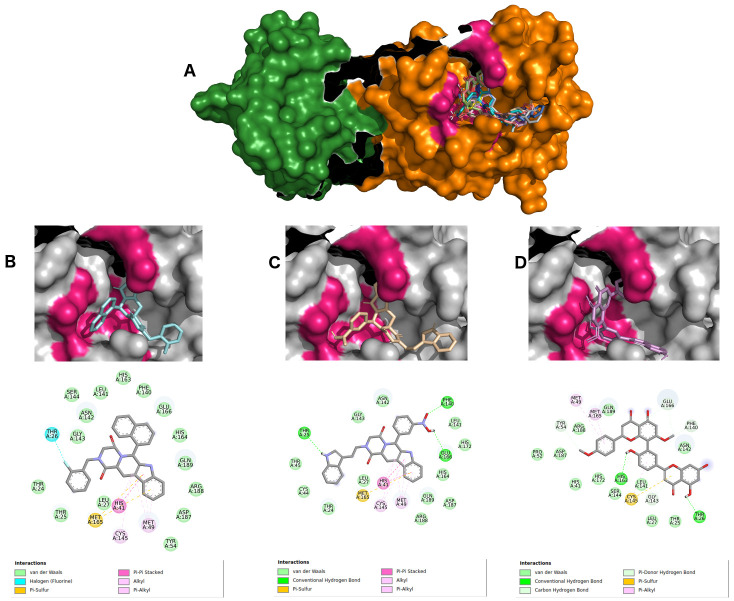 Figure 3. 