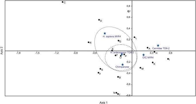 Fig 13