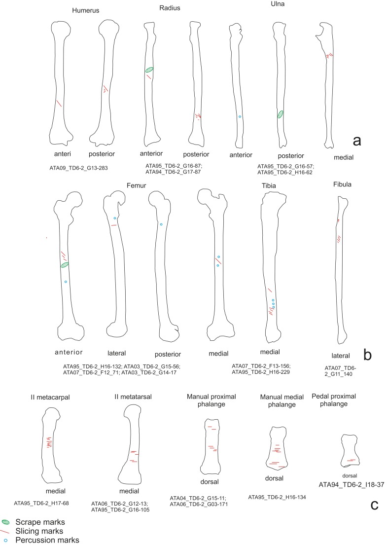 Fig 10