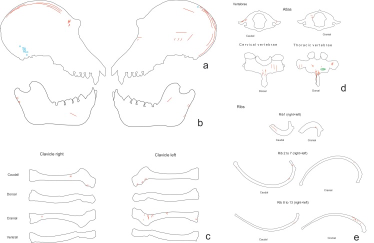 Fig 4