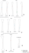 Fig 12
