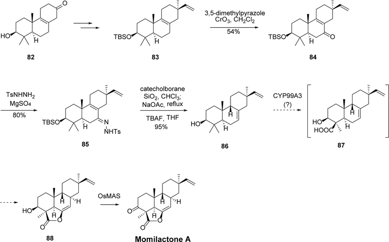 Scheme 5.