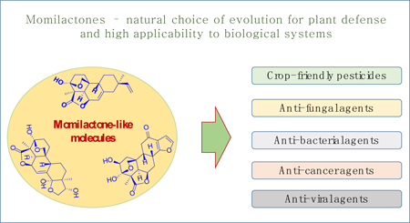 graphic file with name nihms-1034534-f0001.jpg