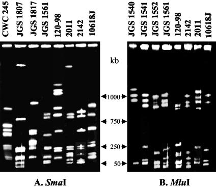 FIG. 4.