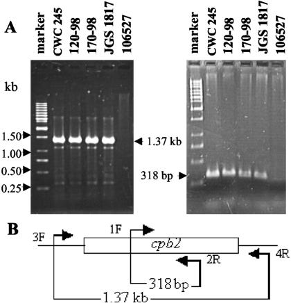 FIG. 1.