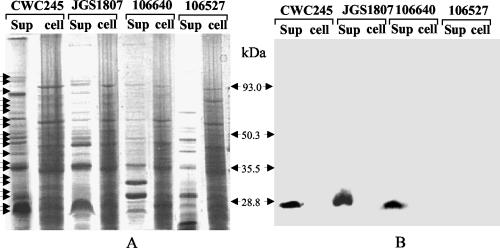 FIG. 5.