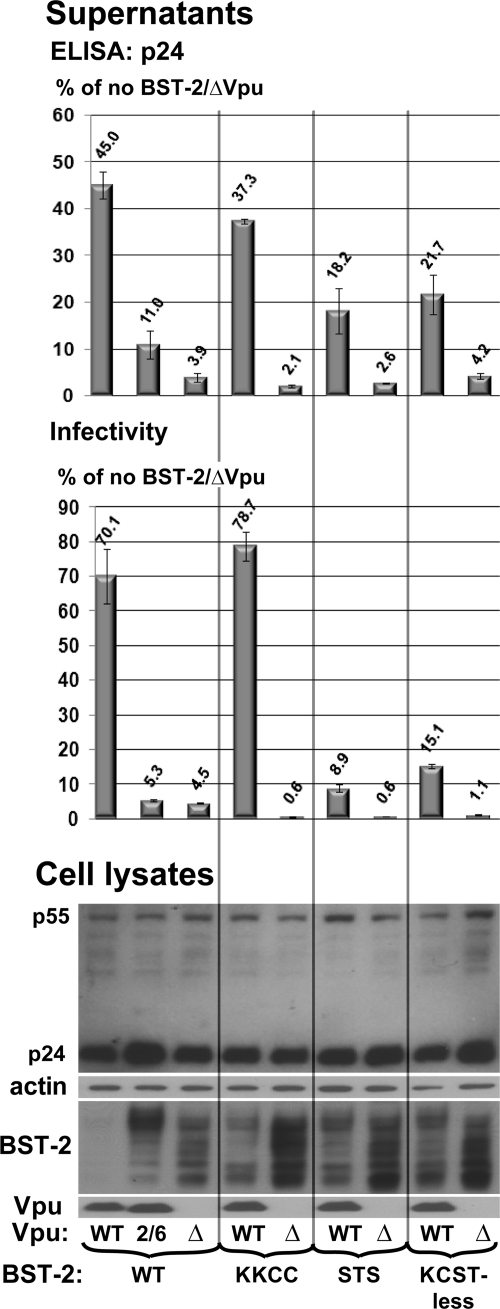 FIG. 7.