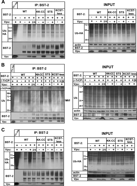 FIG. 8.