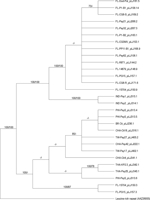 Fig. 3.