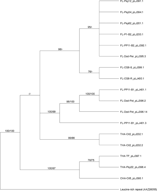 Fig. 4.