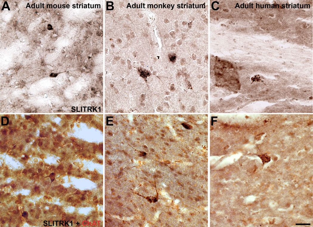 Figure 9