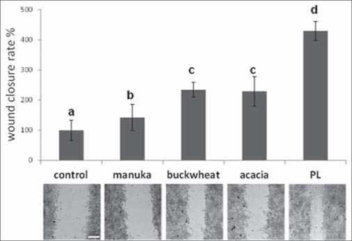 Figure 1: