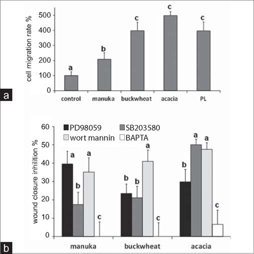 Figure 2: