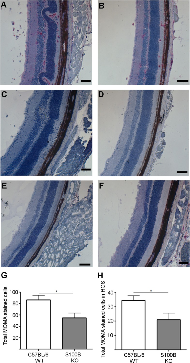 Fig 10