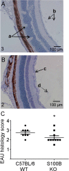 Fig 9