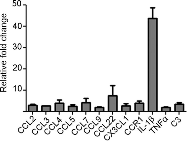 Fig 2