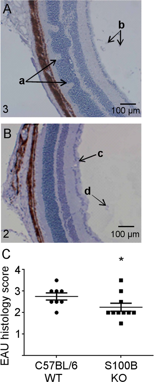 Fig 9