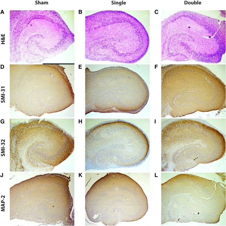 FIG. 5.