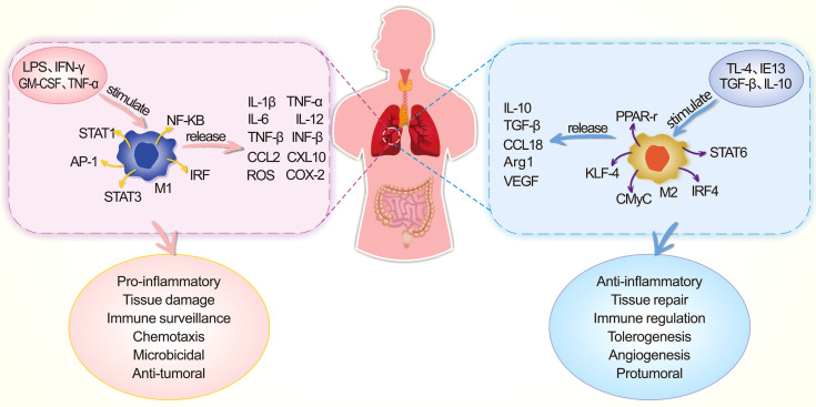 Figure 5