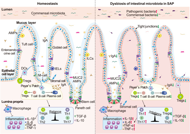 Figure 2