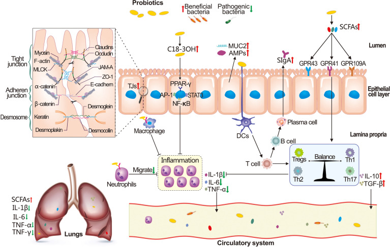 Figure 6