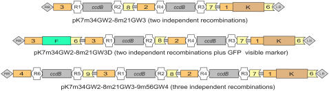 Figure 3.