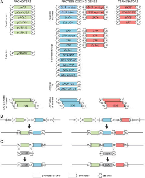 Figure 1.