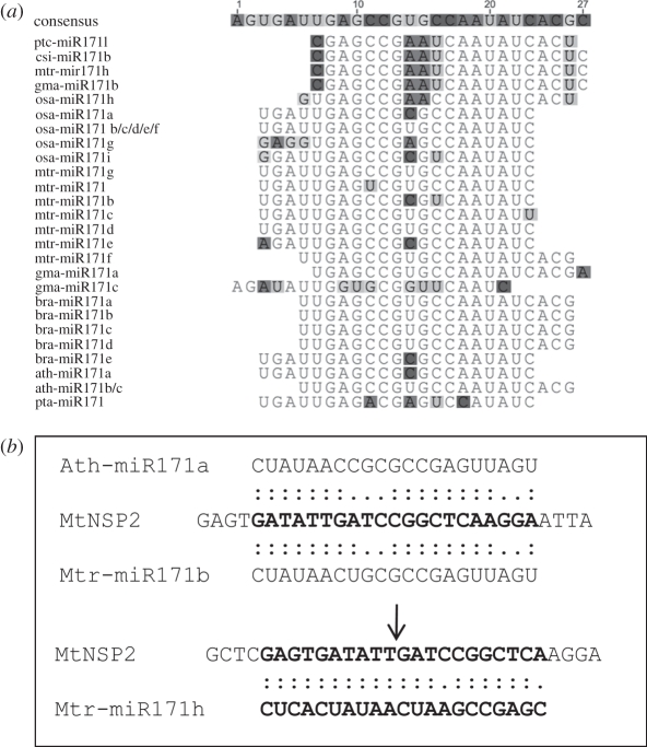 Figure 1.