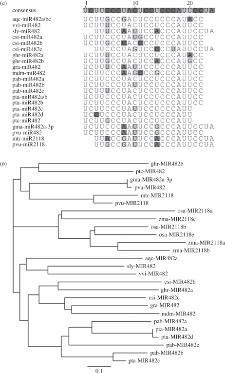 Figure 2.