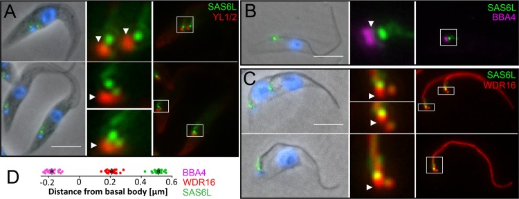 Fig 4