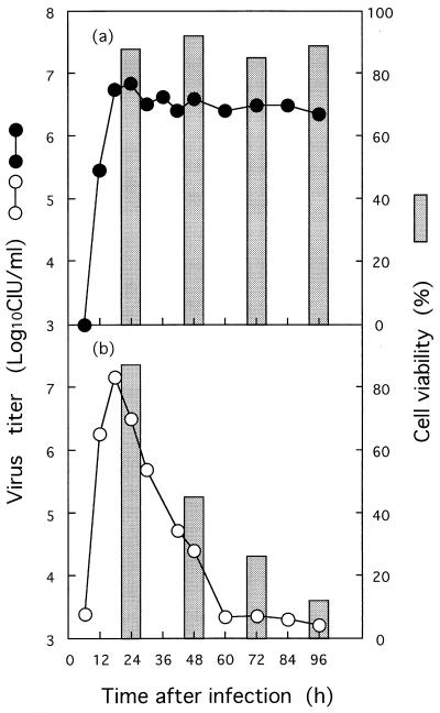 FIG. 1