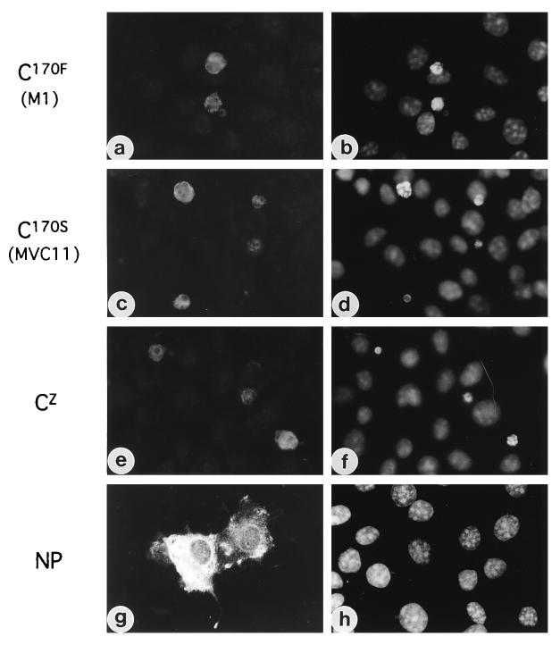 FIG. 7