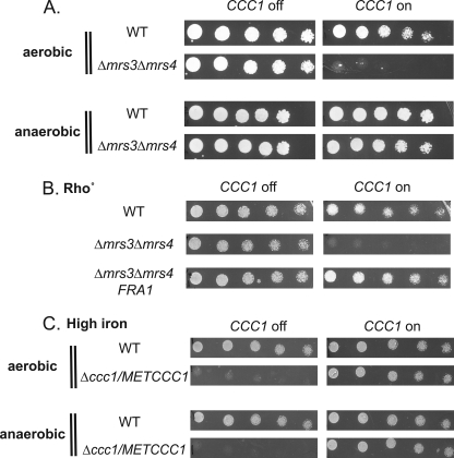 FIGURE 7.