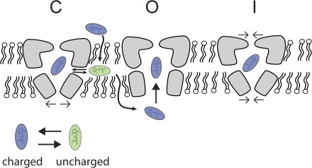 Figure 9.